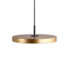 Asteria Medium Brass - Black Top 43 x 14 cm, 2.7m cordset