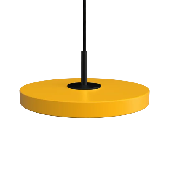 Asteria Micro Saffron Yellow w. Dim - Black Top