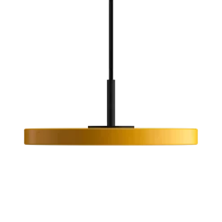 Asteria Micro Saffron Yellow w. Dim - Black Top