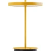 ASTERIA MOVE MONOCHROME SUNFLOWER PORTABLE LED