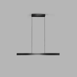 Edge Linear S1000 Pendel Carbon Sort - LIGHT-POINT