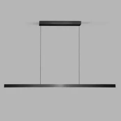 Edge Linear S2000 Pendel Carbon Sort - LIGHT-POINT