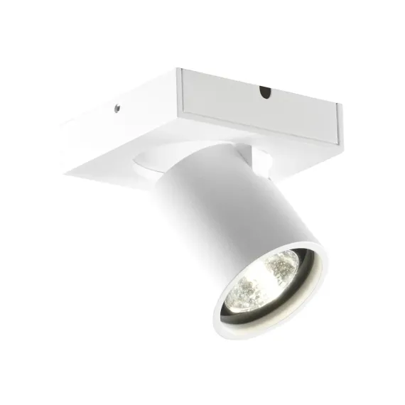 FOCUS 1 WITH SWITCH TUNE, WHITE