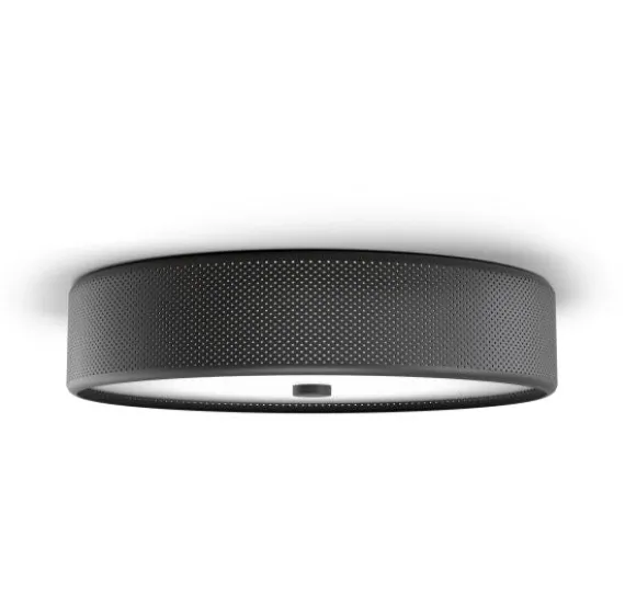 GRAIN - PLAFOND Ø50 L - MAT SORT - BELID