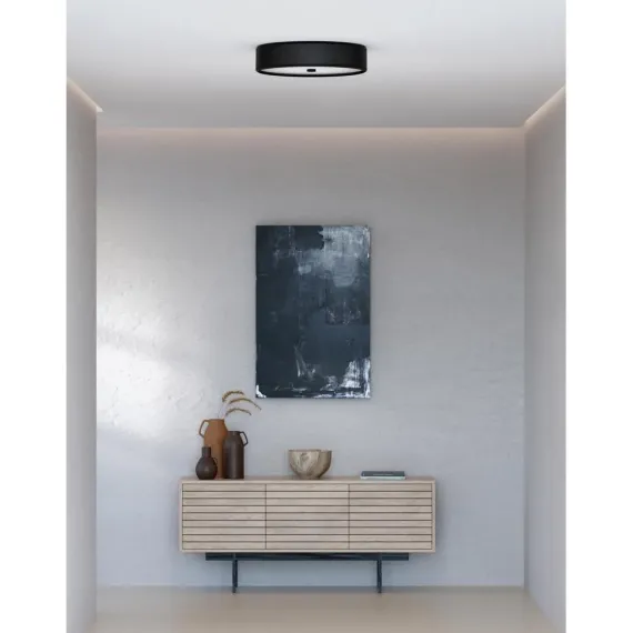 GRAIN - PLAFOND Ø50 L - MAT SORT - BELID