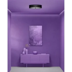 GRAIN - PLAFOND Ø50 L - MAT SORT - BELID