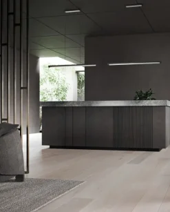 INLAY S1900 LINEAR MB/SS - MATT BLACK/SATIN SILVER