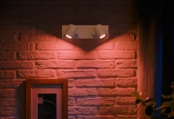 PHILIPS HUE ARGENTA ENKELT 2-SPOT HVID 915005762001