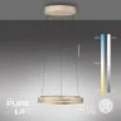 Pure E-Loop Pendel med Motor Hejs Ø60 - Mat Messing LED