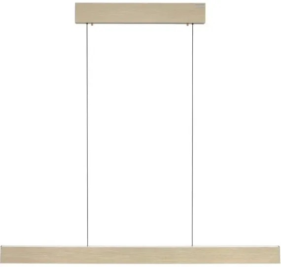 PURE E-MOTION LANGBORDSPENDEL MED MOTOR HEJS MAT MESSING LED