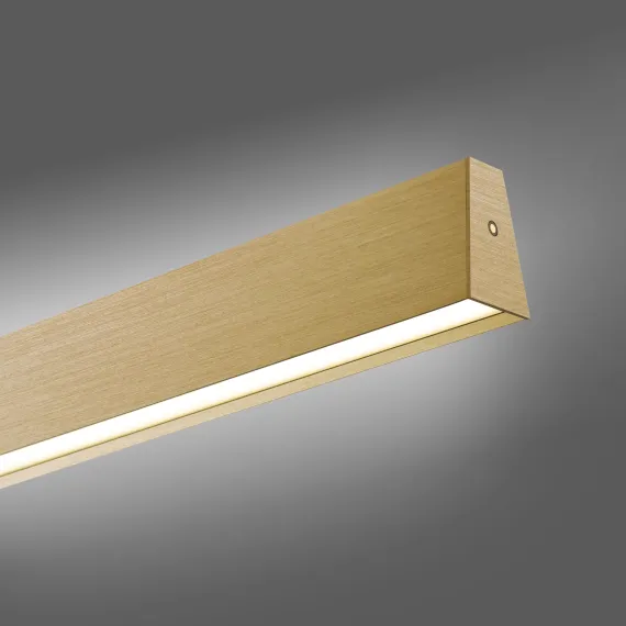 PURE E-MOTION LANGBORDSPENDEL MED MOTOR HEJS MAT MESSING LED