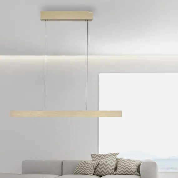 PURE E-MOTION LANGBORDSPENDEL MED MOTOR HEJS MAT MESSING LED