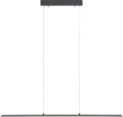 PURE-LITE LANGBORDSPENDEL 100 CM ANTRASIT LED