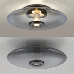 Pure Vitrum Loft-/Væglampe Ø45 - Paul Neuhaus (Røgfarvet Glas, LED)