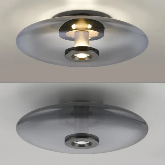 Pure Vitrum Loft-/Væglampe Ø45 - Paul Neuhaus (Røgfarvet Glas, LED)