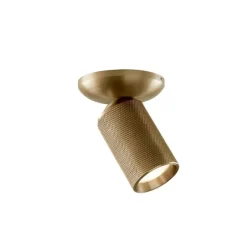 RAW 1 SPOT MESSING LED